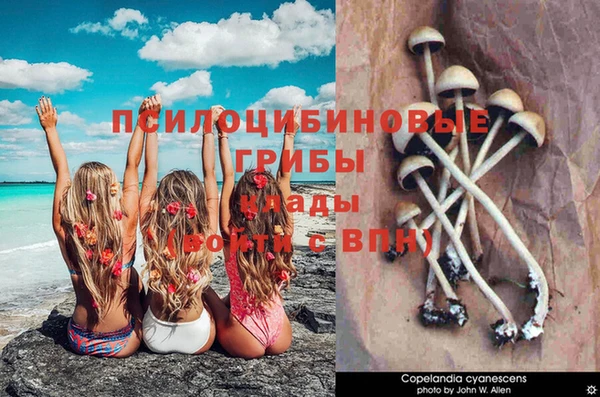 дистиллят марихуана Надым