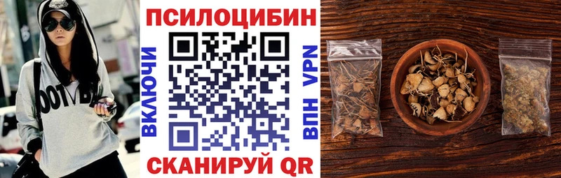 Купить закладки  Северск  Псилоцибиновые грибы прущие грибы 